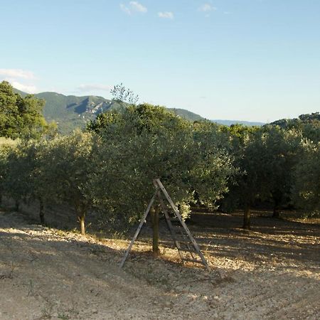 Mas provençal La Serallère au coeur des oliviers Venterol  Esterno foto