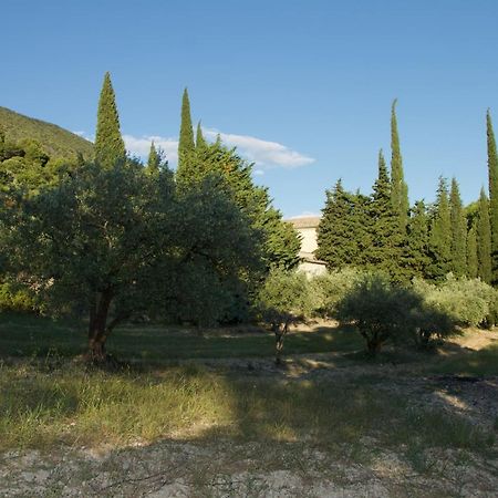 Mas provençal La Serallère au coeur des oliviers Venterol  Esterno foto
