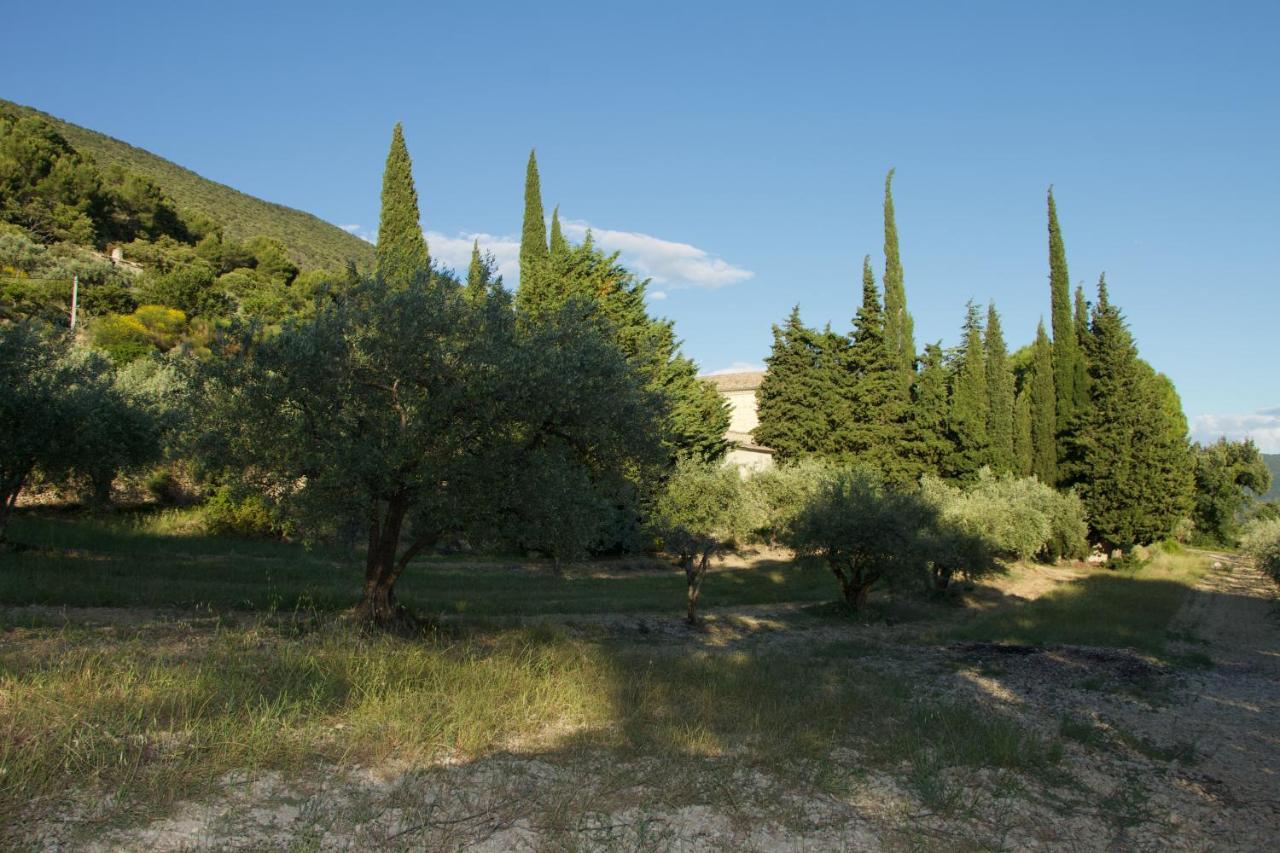 Mas provençal La Serallère au coeur des oliviers Venterol  Esterno foto