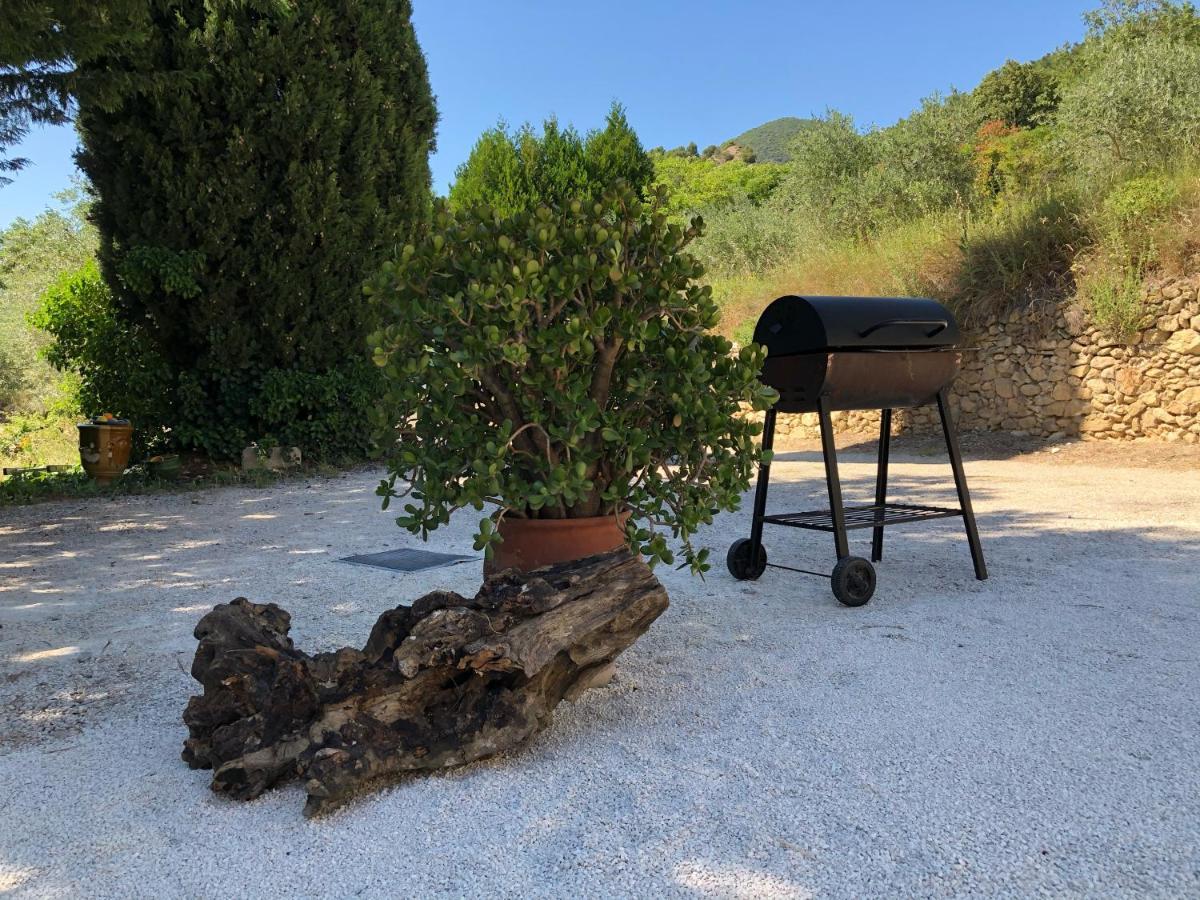 Mas provençal La Serallère au coeur des oliviers Venterol  Esterno foto